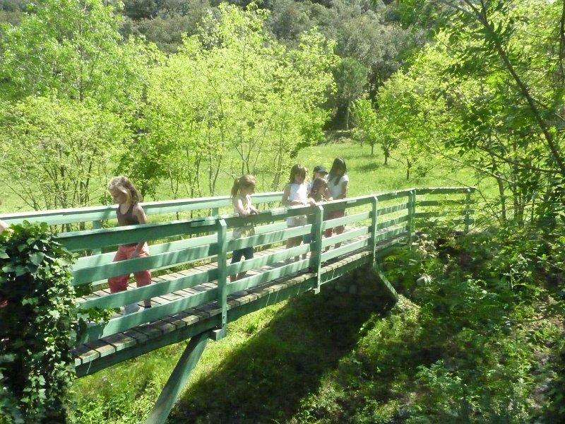 P1020862 [1600x1200].JPG